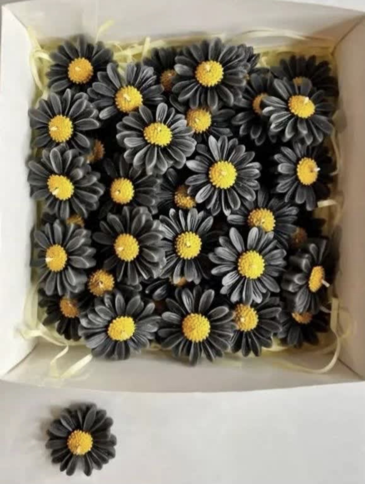 شمع گل بابونه مشکی